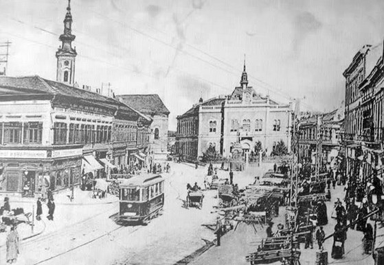 Novi Sad u prvoj polovini XX veka