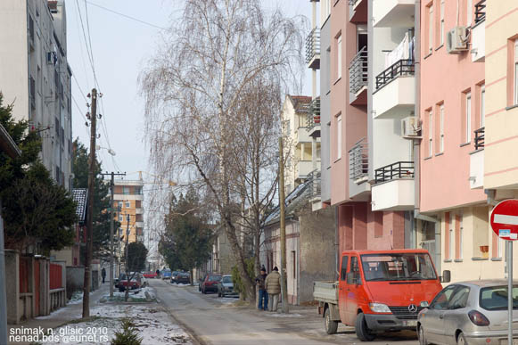 Ulica Patrijarha Čarnojevića